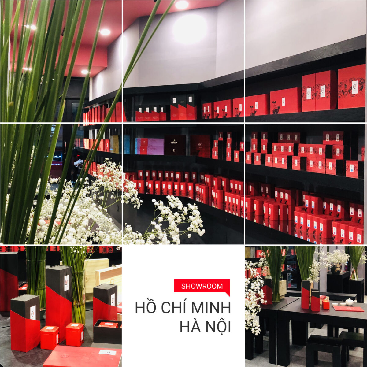 Showroom Trà Việt